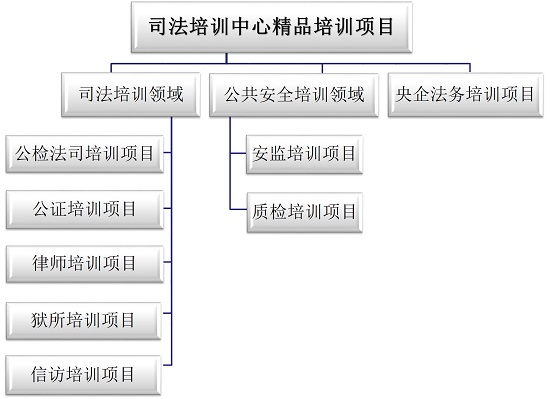 司法系列课程 司法系列课程