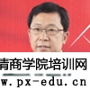 张雷简介