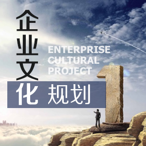 TTT内部培训师培训(高级训练) TTT内部培训师培训(高级训练)