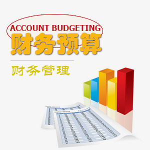 全面预算管理 全面预算管理