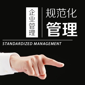 打造一流的执行力 打造一流的执行力