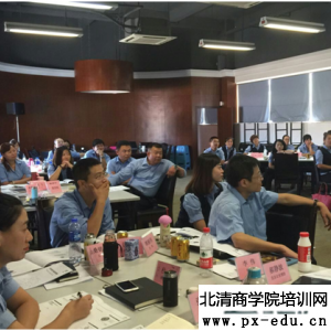 《高层销售与人脉经营策略》 《高层销售与人脉经营策略》