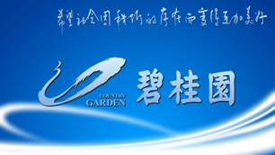 参观碧桂园