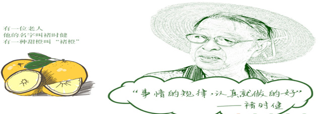 参观考察褚橙庄园-学习褚时健经营才干与管理智慧 参观考察褚橙庄园-学习褚时健经营才干与管理智慧