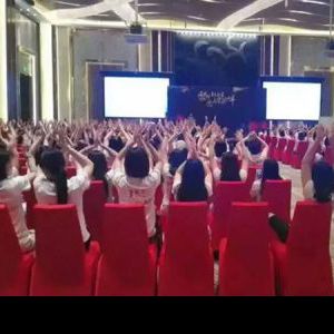 肖仁山老师三亚轩女王国际《执行落地培训》圆满结束