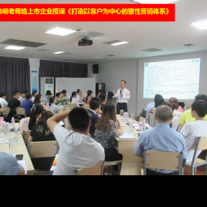 《打造以客户为中心的狼性营销体系》