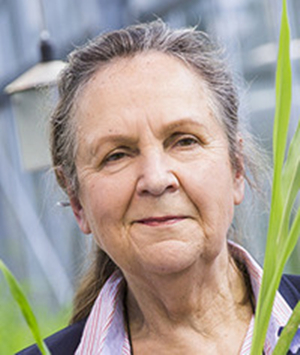 Regine Kahmann Regine Kahmann