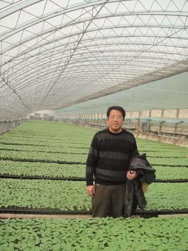 别之龙 别之龙