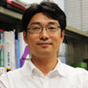 褚晓文 褚晓文