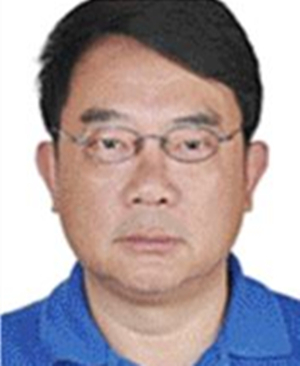 马纲 马纲