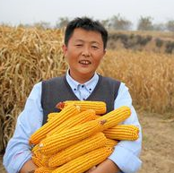 王小帮 王小帮