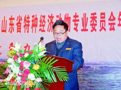 马泽芳 马泽芳