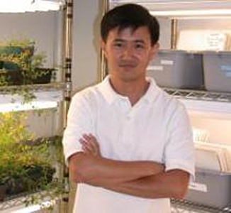 Dong Wang Dong Wang