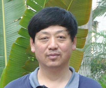 周淳