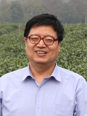 刘克锋 刘克锋