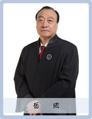 岳成 岳成