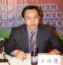 王仕涛