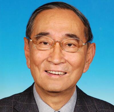 厉以宁 厉以宁