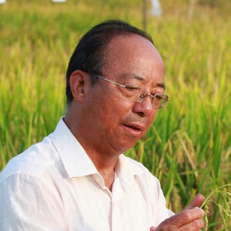 谢华安 谢华安