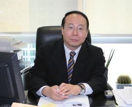 王岩岫 王岩岫