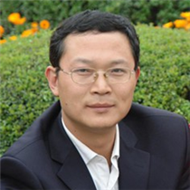 张新红 张新红