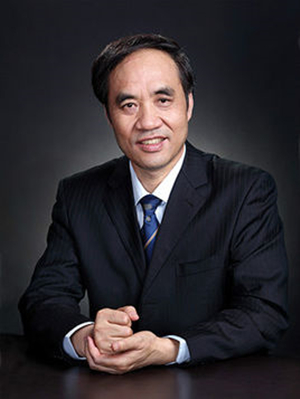 辜胜阻 辜胜阻