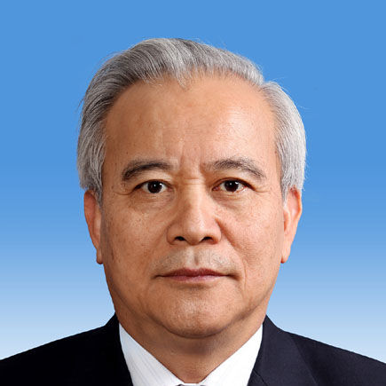 王钦敏 王钦敏