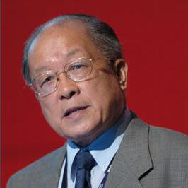 汪懋华 汪懋华